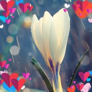 Meet your Posher, Mindy